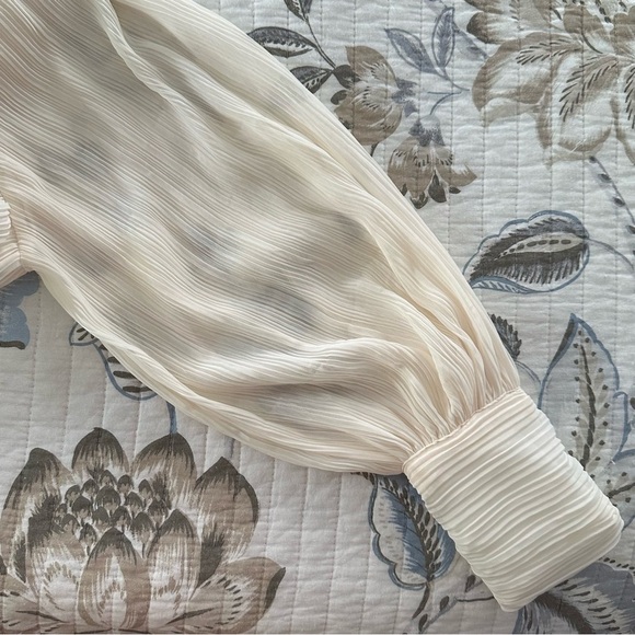 Zara Pleated Balloon Sleeve Blouse - Picture 5 of 9